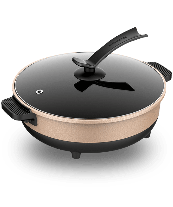 Electric Cooking Pot